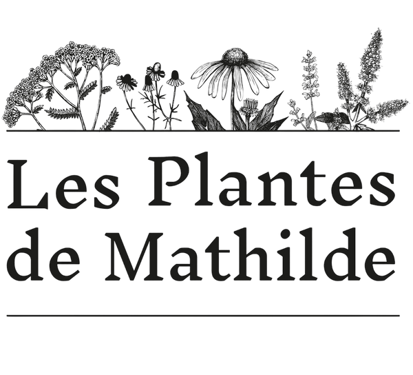 Les Plantes de Mathilde 