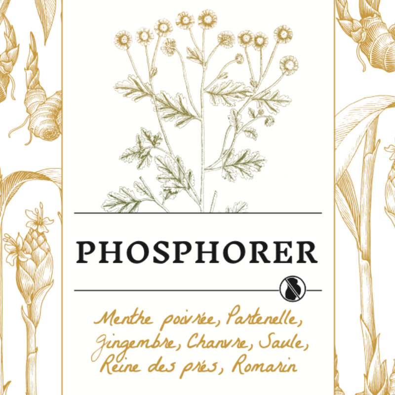 PHOSPHORER